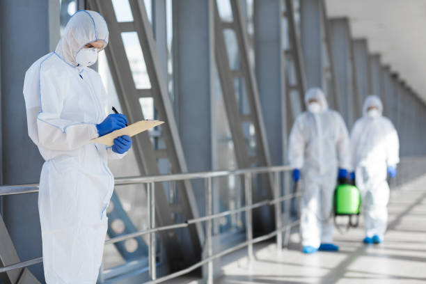 Asbestos and Lead Testing During Mold Inspection in Water Mill, NY